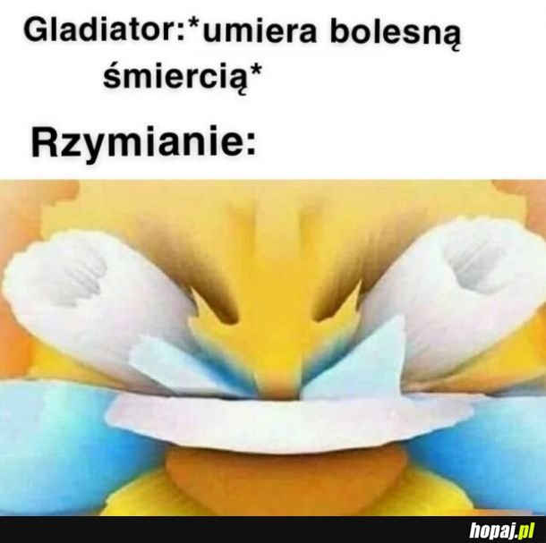 Ale beka xd