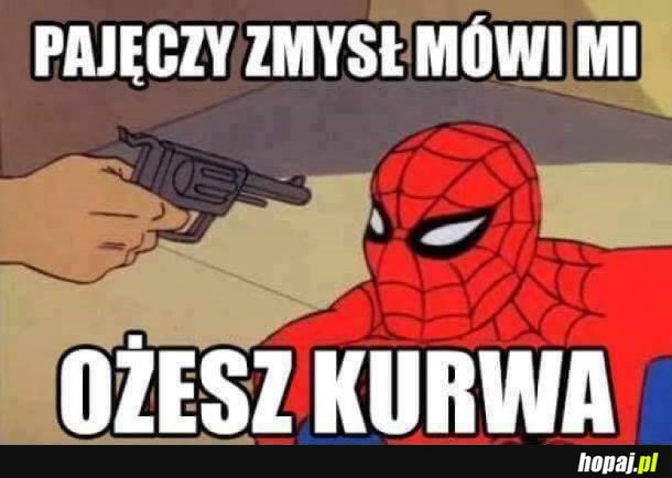 PAJĘCZY ZMYSŁ