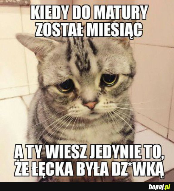 JUŻ NIEBAWEM MATURA