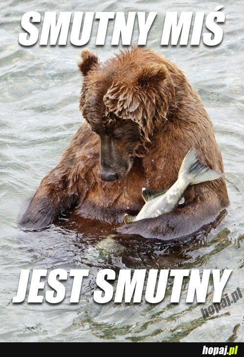 Smutny miś jest smutny