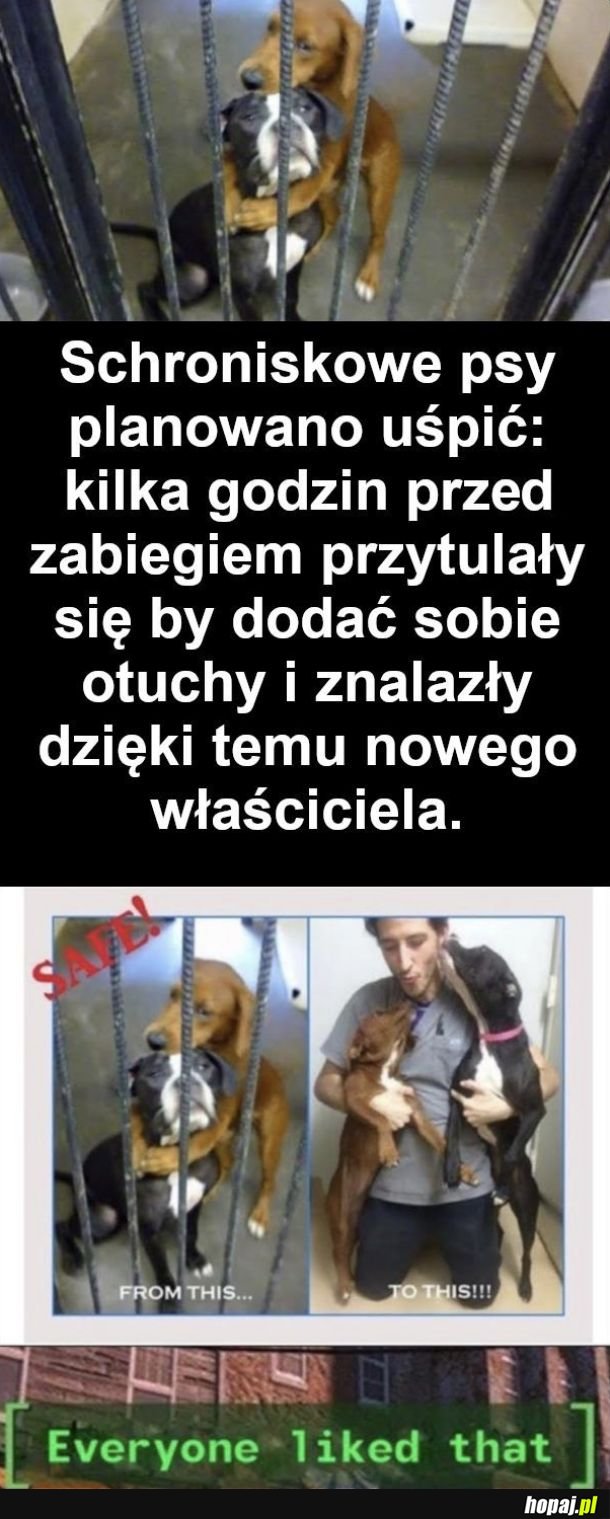 Szczęśliwe zakończenie