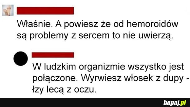 Wszystko połączone