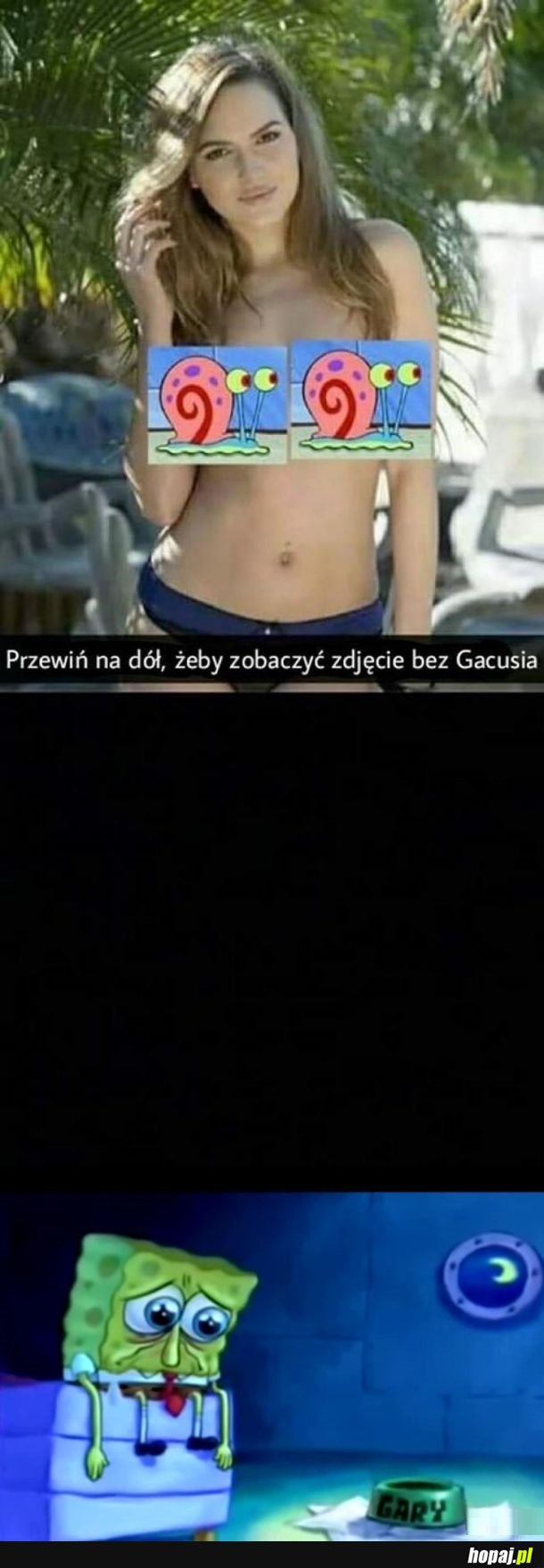 Bez gacusia