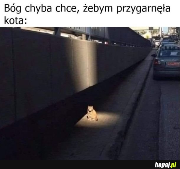 Znak