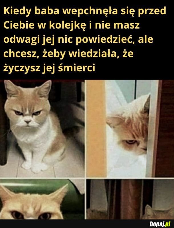 Giń!