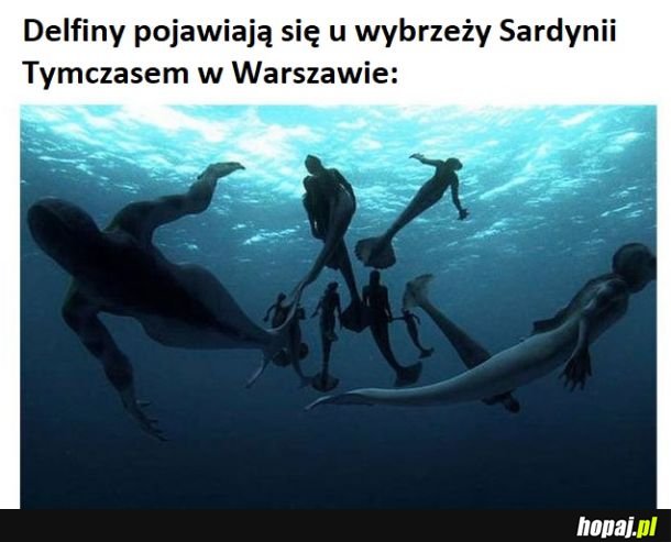 No kto by pomyślał, że syreny powrócą!
