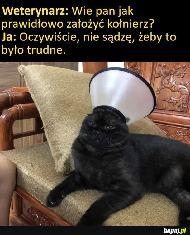 Jednak go przerosło