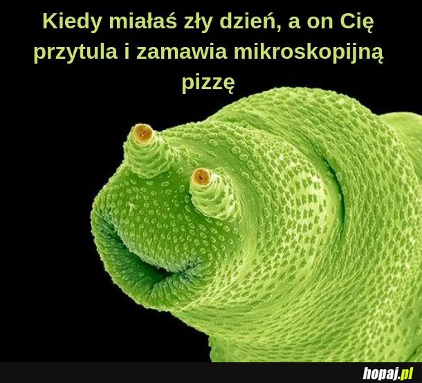 Mikroskopijna miłość 