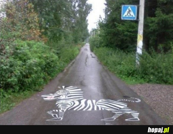 Zebra