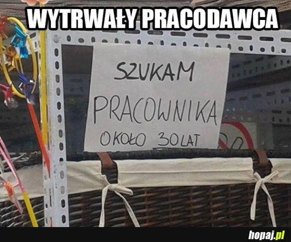 To się nazywa cierpliwość