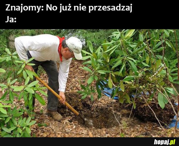  Nie przesadzaj 