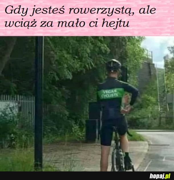 Ulubieńcy polskich dróg