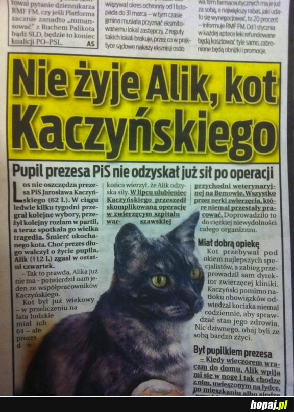 Alik nie żyje!