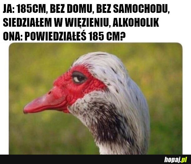185