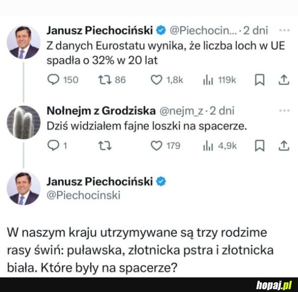 Lochy i loszki