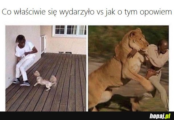 Trochę podkoloryzuję