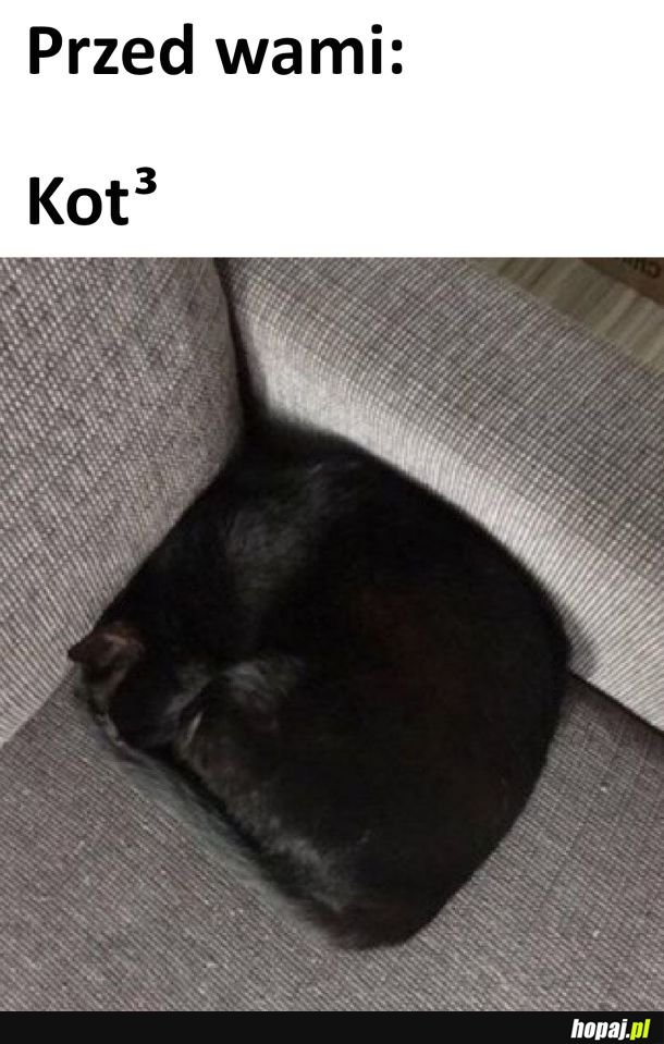 Kwadratowy kotek