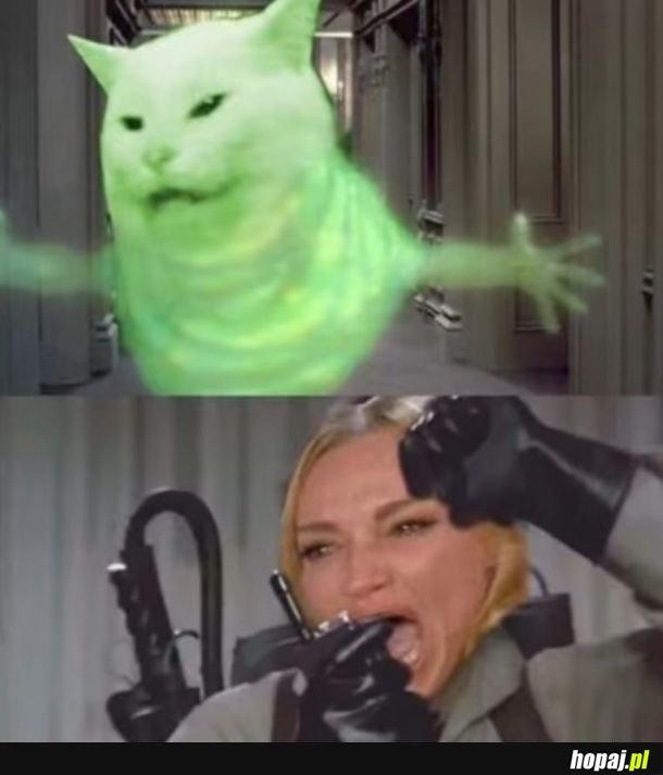 Martwe Memy