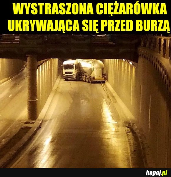 Z KAMERĄ WŚRÓD ZWIERZĄT