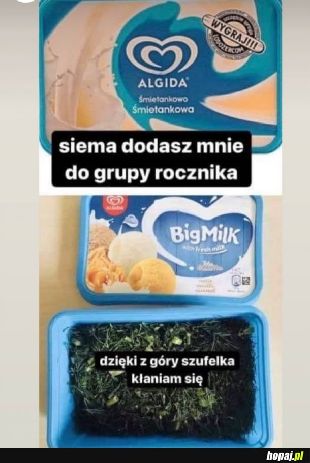 No elo ziomek