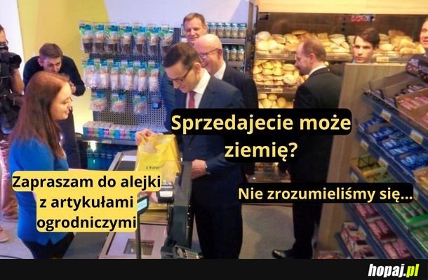 Sprzedajecie może ziemię?