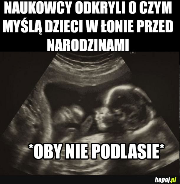 Gdybym sie kiedyś urodzić miał znów...