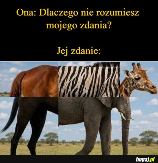 Zdanie