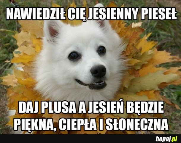 POMÓŻMY POGODZIE!