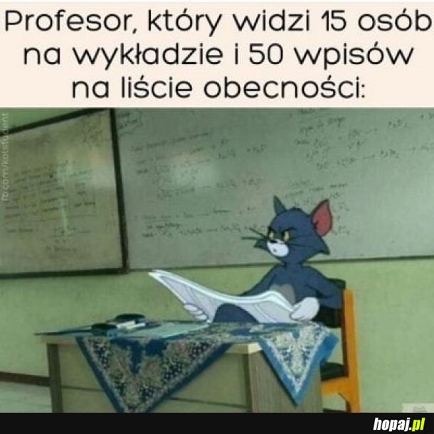 Studia takie są 