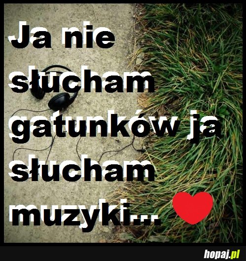 Ja nie słucham gatunków!