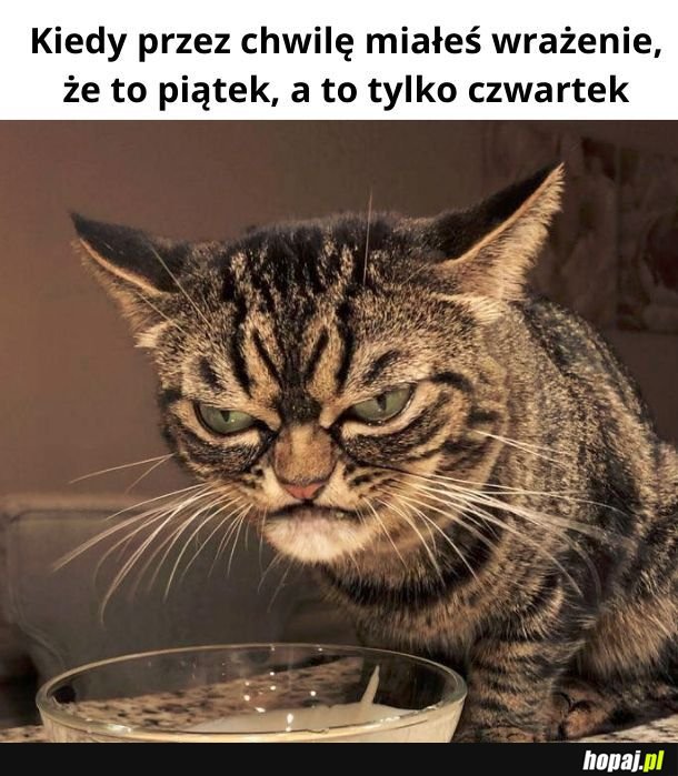 Czwartek