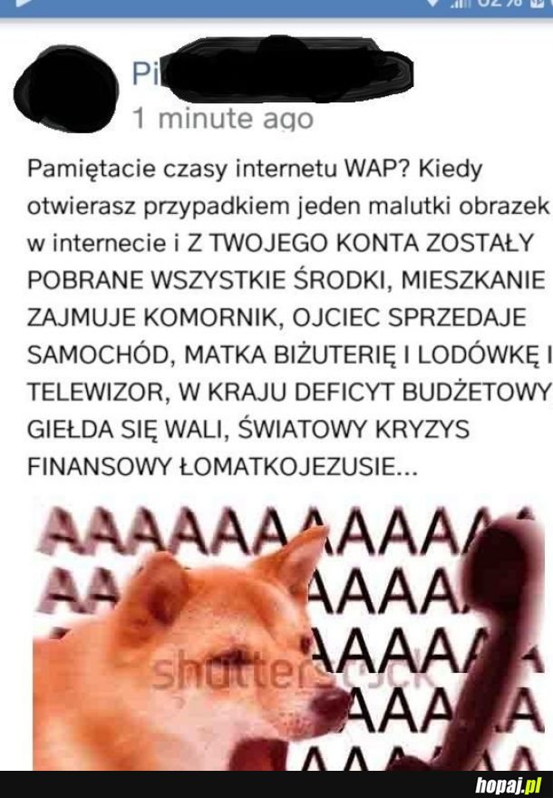 I oczywiście dedykowany przycisk do Internetu, który dopiero raczkował