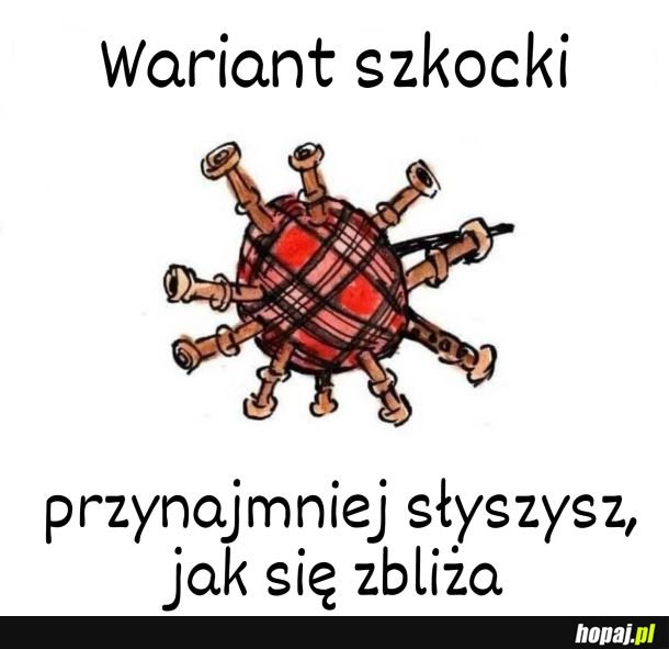 Nowy wariant