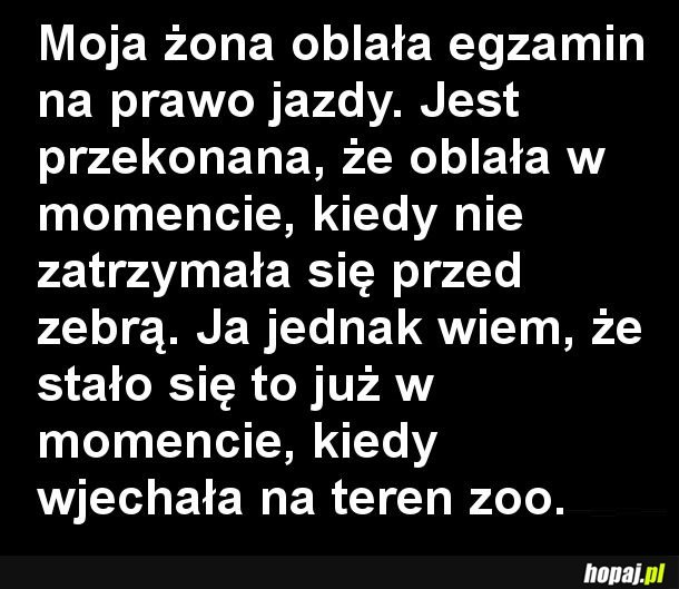 Egzamin na prawo jazdy