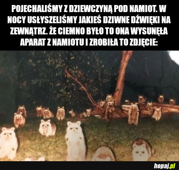 A potem sie zesraliśmy