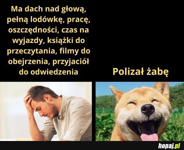 Małe rzeczy dają więcej radości