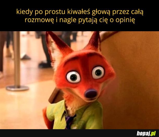 Kurde co teraz