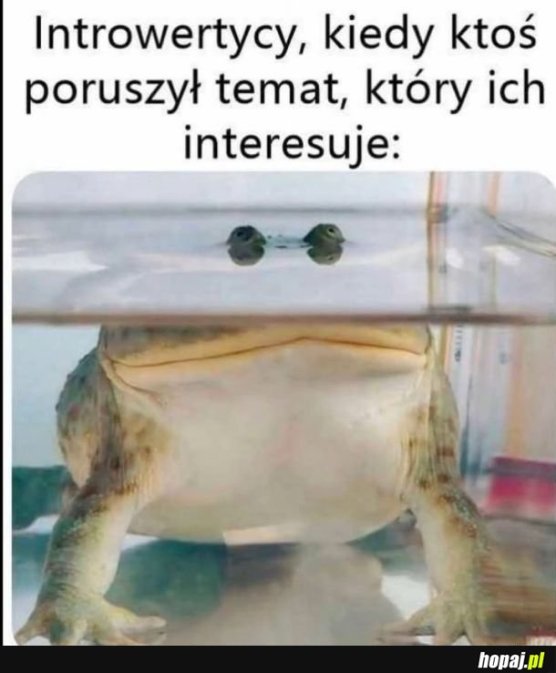 O tak