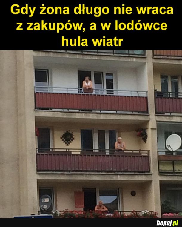 Gdzie jedzenie Halina