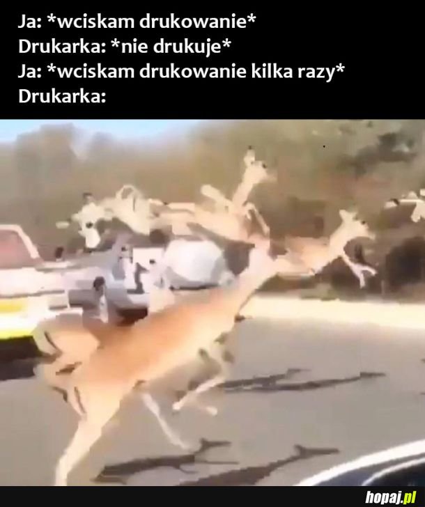 Drukowanie takie jest 