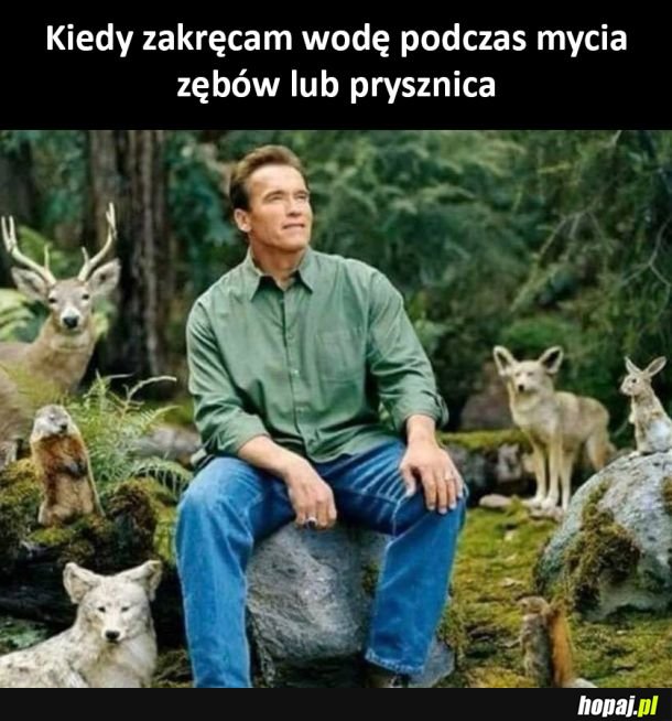 Jestem ekologiem