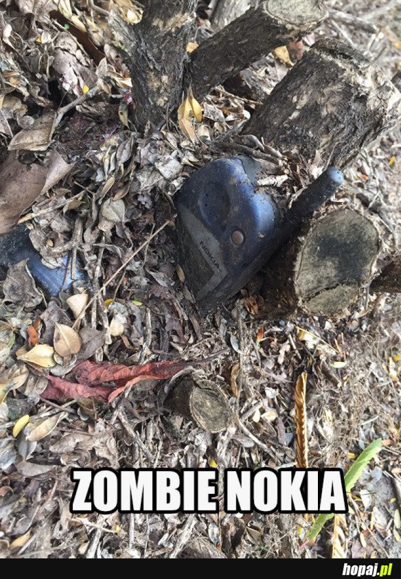 Zombie nokia