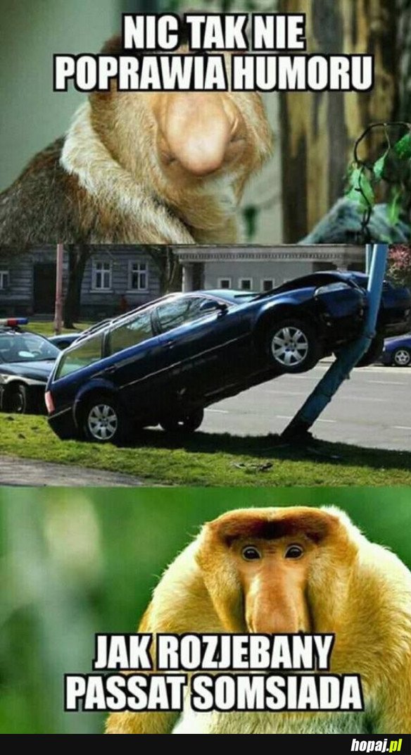 I CAŁY DZIEŃ ZROBIONY