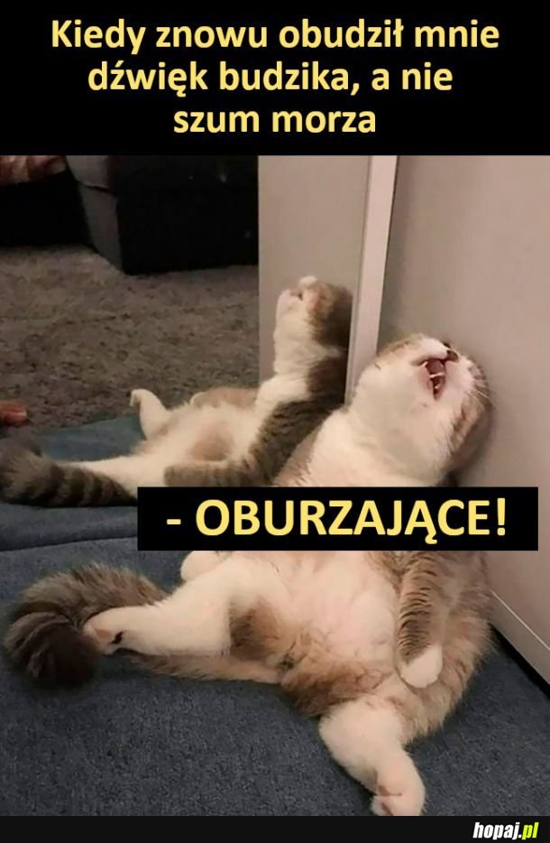 Życie