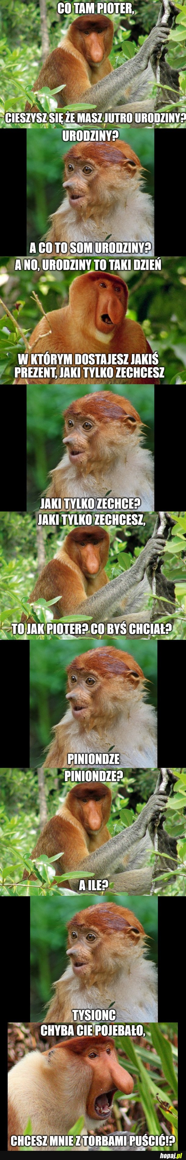 URODZINY PIOTERA
