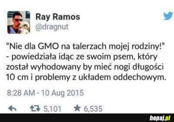  GMO