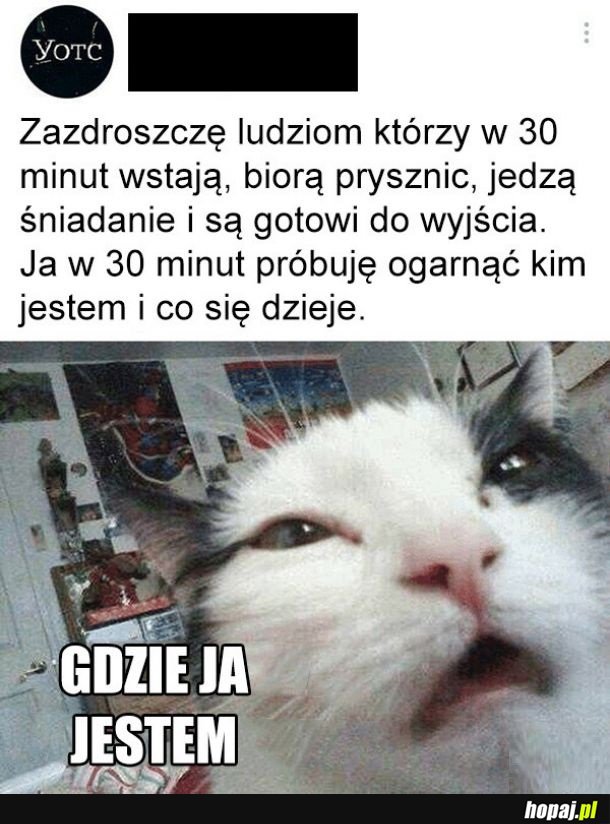 Zazdroszczę