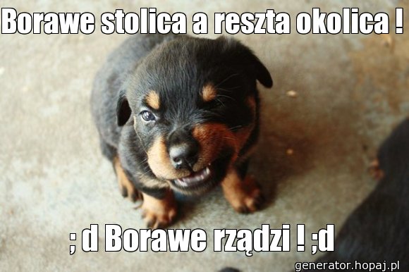 Borawe stolica a reszta okolica !