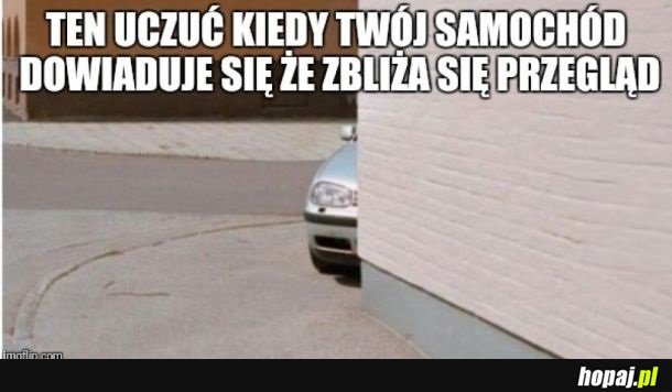 Przegląd