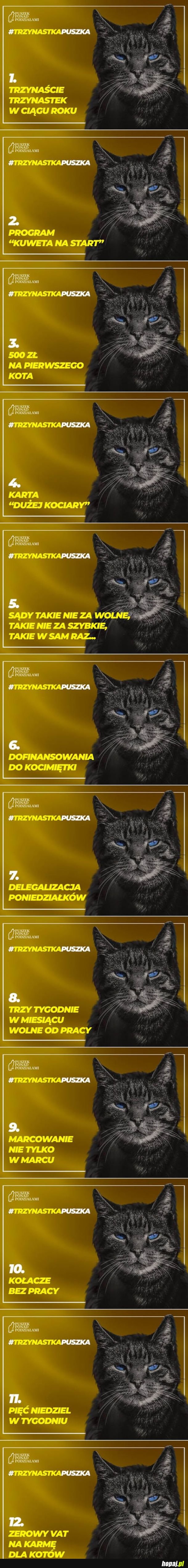  Głosujcie na Puszka - kandydata wszystkich kociar 